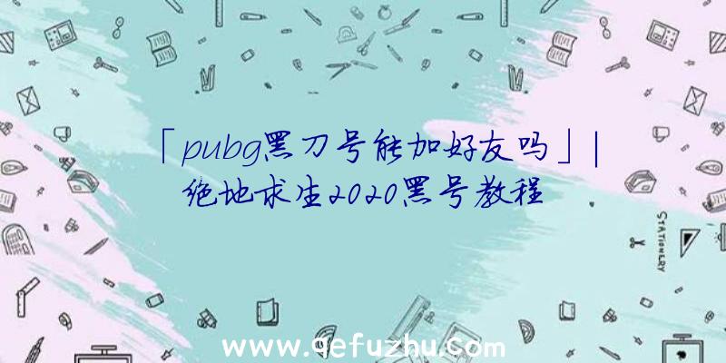 「pubg黑刀号能加好友吗」|绝地求生2020黑号教程